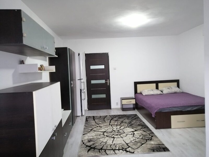 Dristor, metrou, ac, tv, renovata,